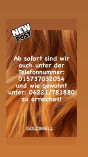 #salonkeibsnews#immerwiederwasneues#